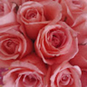 Meet your Posher, Clare